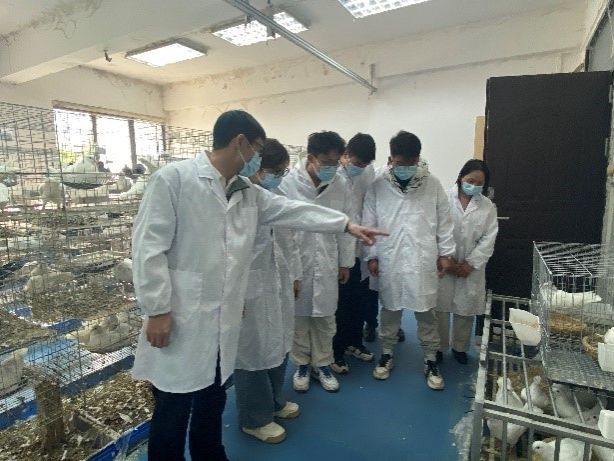 m88在线网站入口